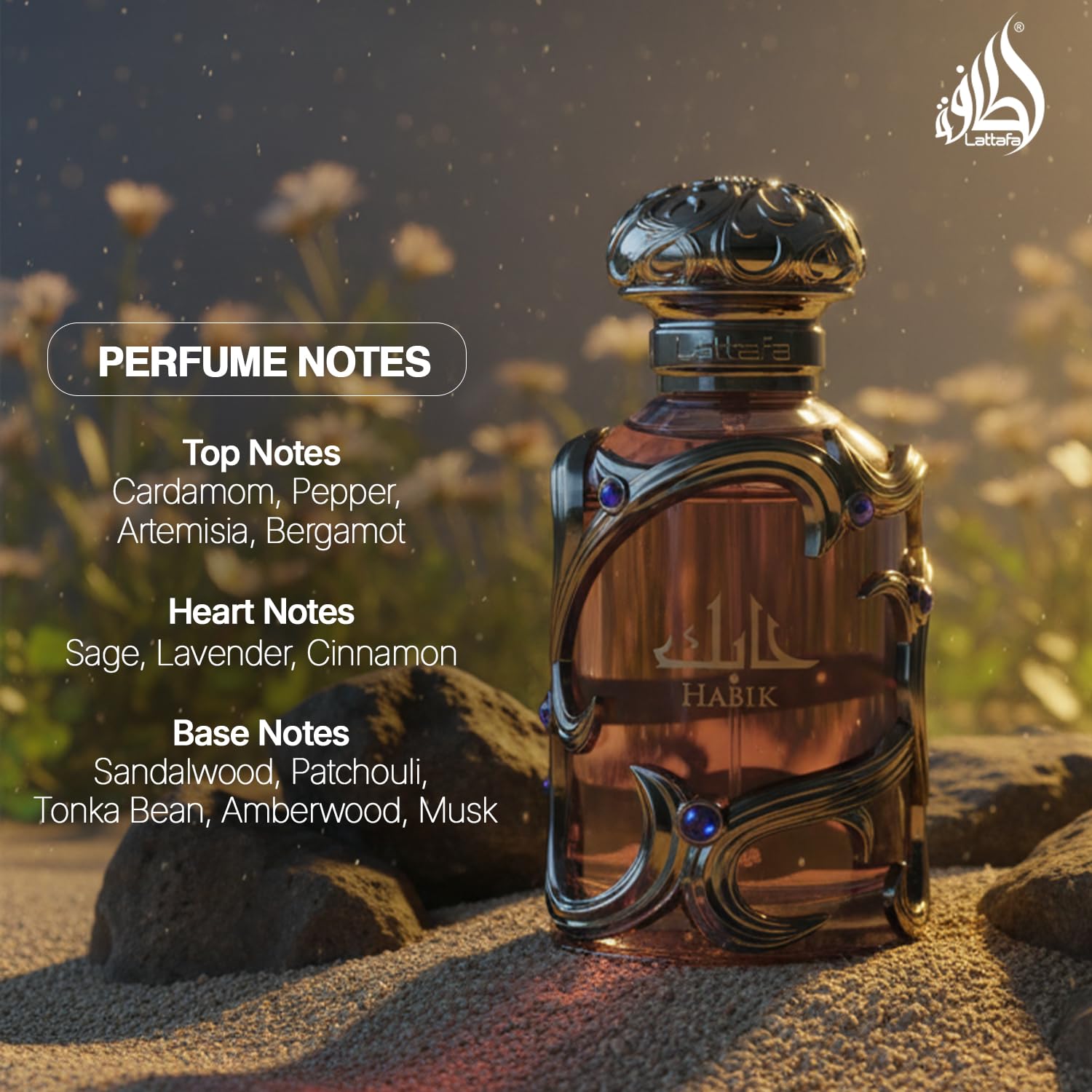 Lattafa Habik – Spicy, Aromatic, Woody, Musky, Eau de Parfum Spray Long-Lasting Duft für Männer, 100 ml